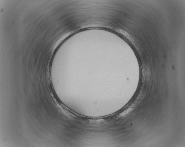 X0000067921129200605112001