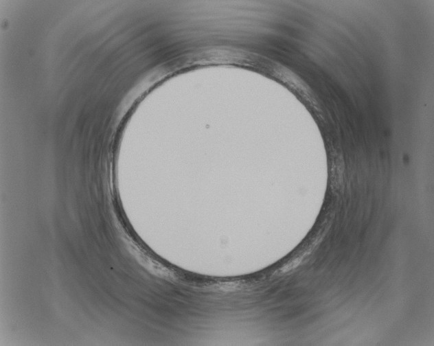 X0000067921130200605112001