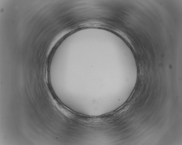 X0000067921131200605112001