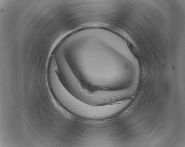 X0000067921132200605112001