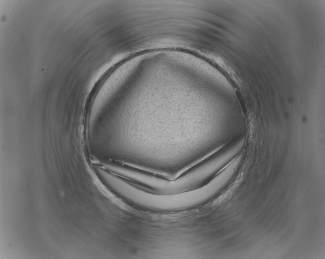 X0000067921134200605112001