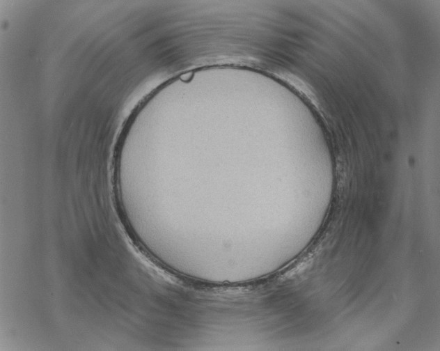 X0000067921135200605112001