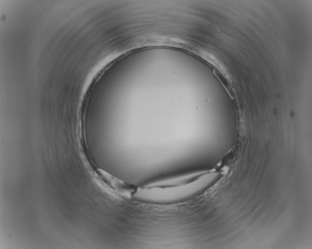 X0000067921136200605112002