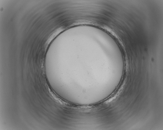 X0000067921137200605112002