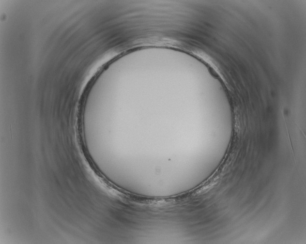 X0000067921139200605112002