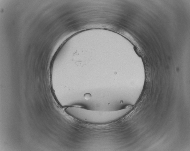 X0000067921140200605112002