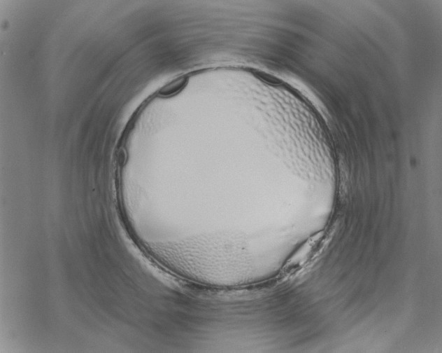 X0000067921142200605112002