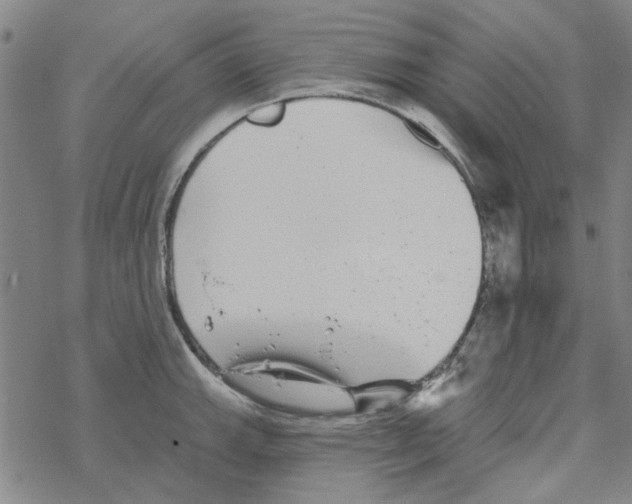 X0000067921143200605112002