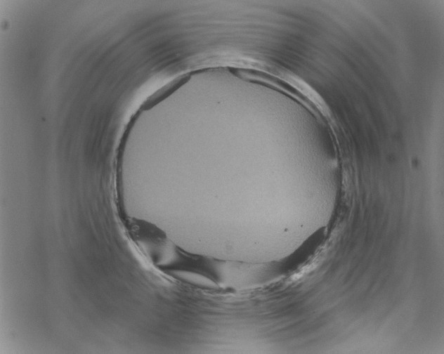 X0000067921144200605112002