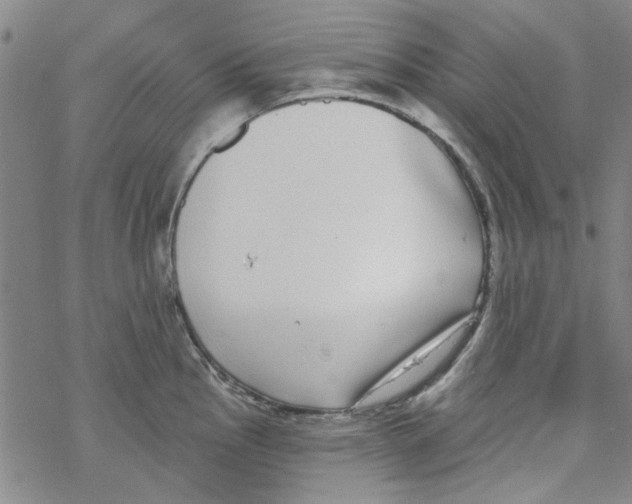 X0000067921145200605112002