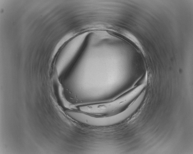 X0000067921146200605112002