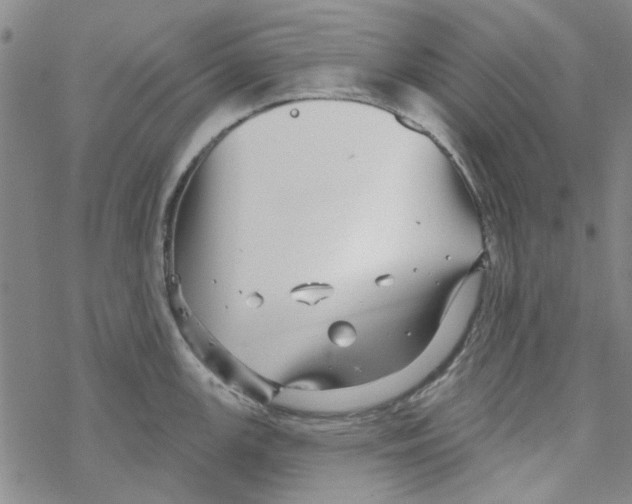 X0000067921147200605112002