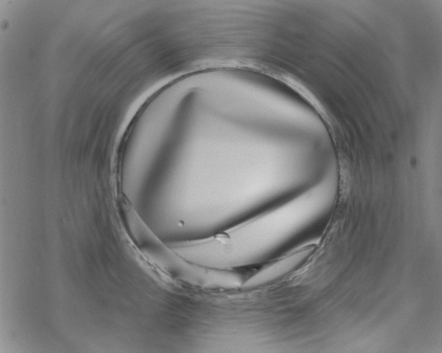 X0000067921148200605112002