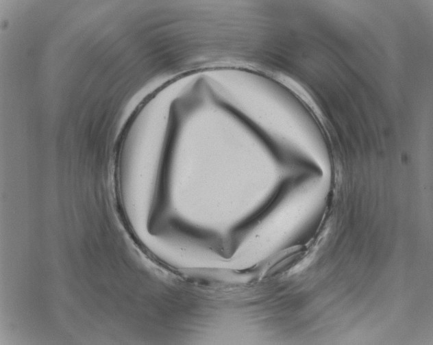 X0000067921149200605112002