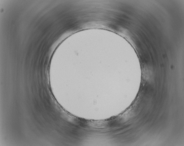 X0000067921150200605112002