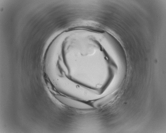 X0000067921152200605112002