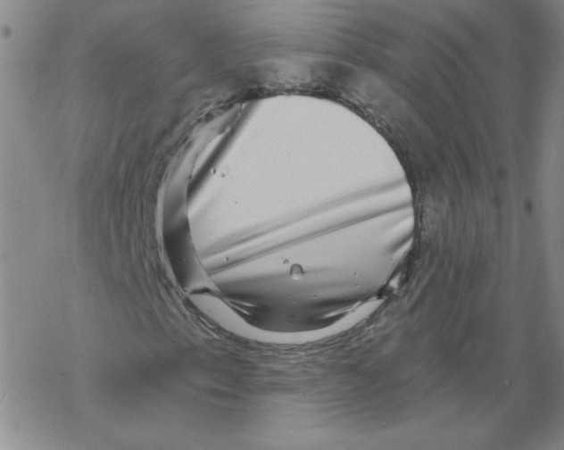 X0000067921153200605112001