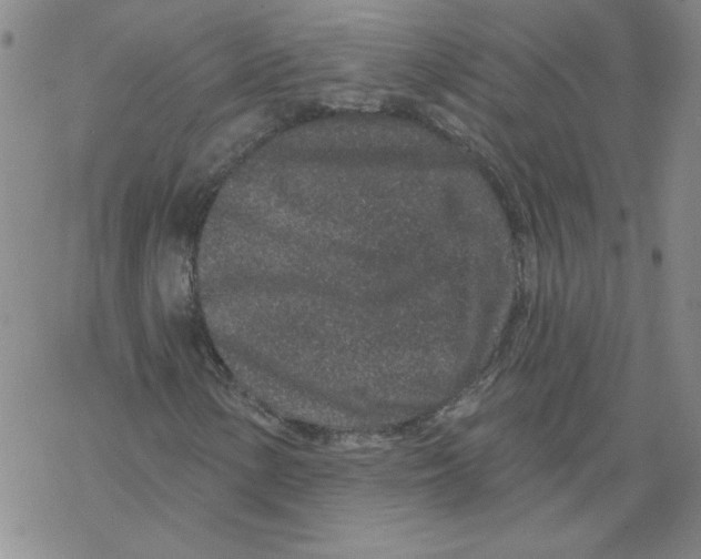 X0000067921154200605112001