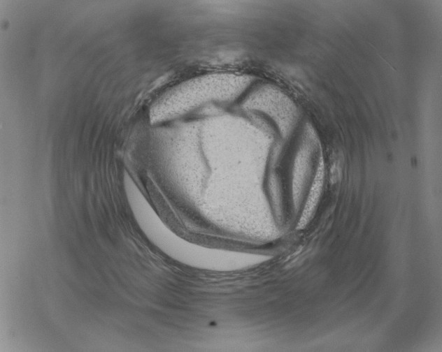 X0000067921156200605112001