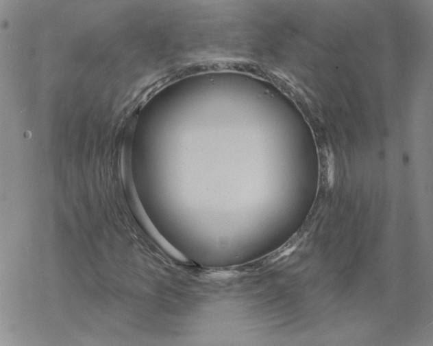 X0000067921157200605112001