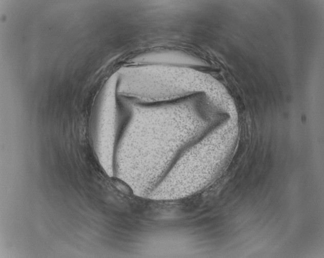 X0000067921158200605112001