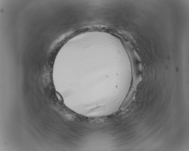 X0000067921159200605112001