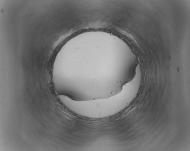 X0000067921160200605112001