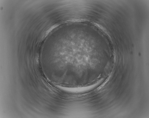 X0000067921161200605112001