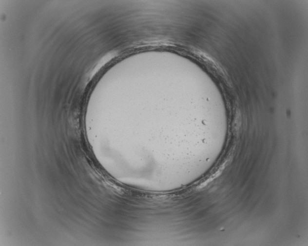 X0000067921162200605112001