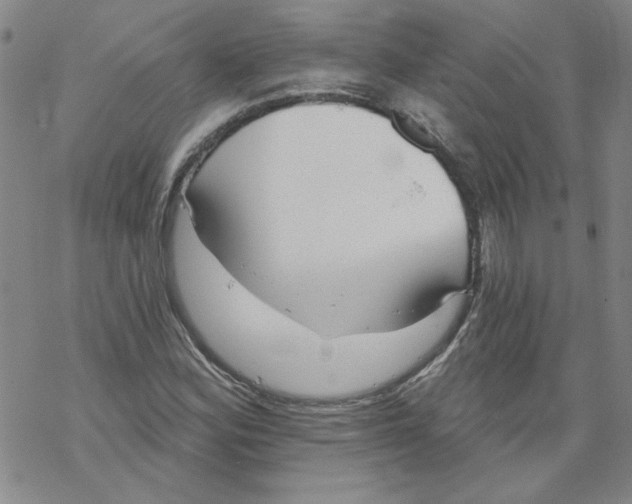 X0000067921164200605112001