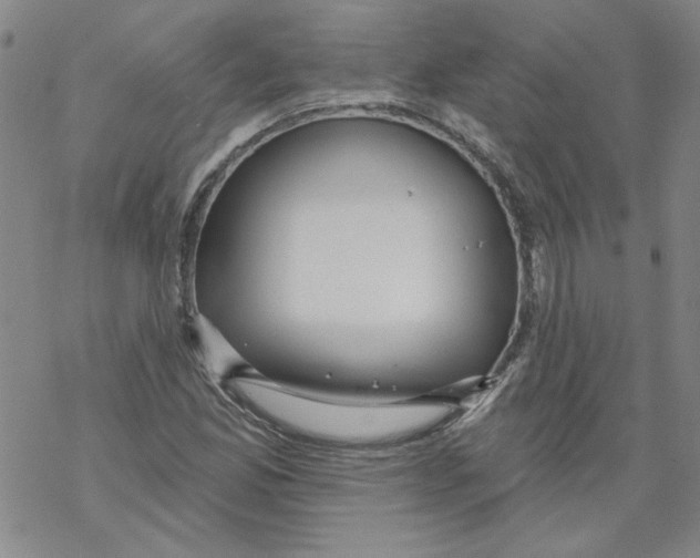 X0000067921165200605112001