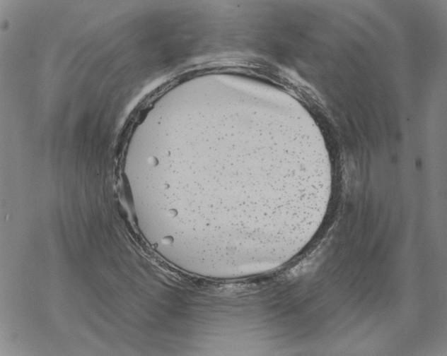 X0000067921166200605112001