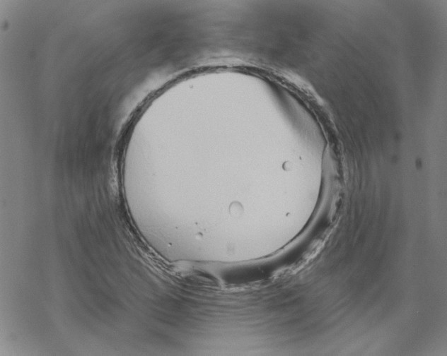 X0000067921167200605112001