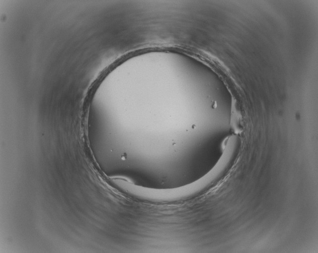 X0000067921168200605112001