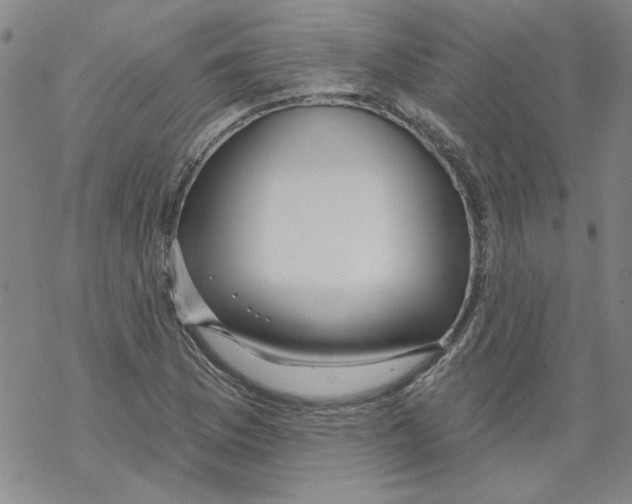 X0000067921169200605112001