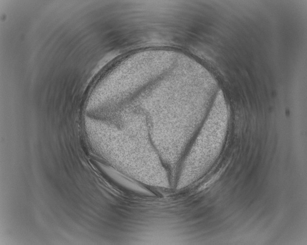 X0000067921170200605112001