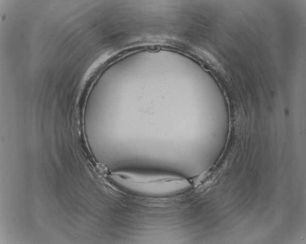 X0000067921172200605112001