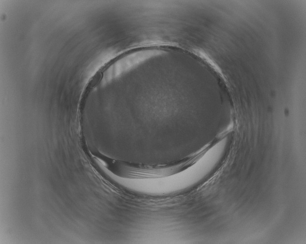 X0000067921173200605112001