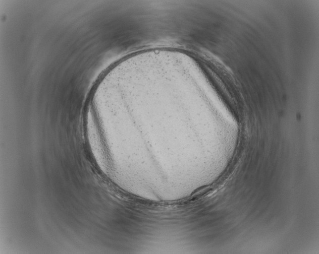 X0000067921174200605112001