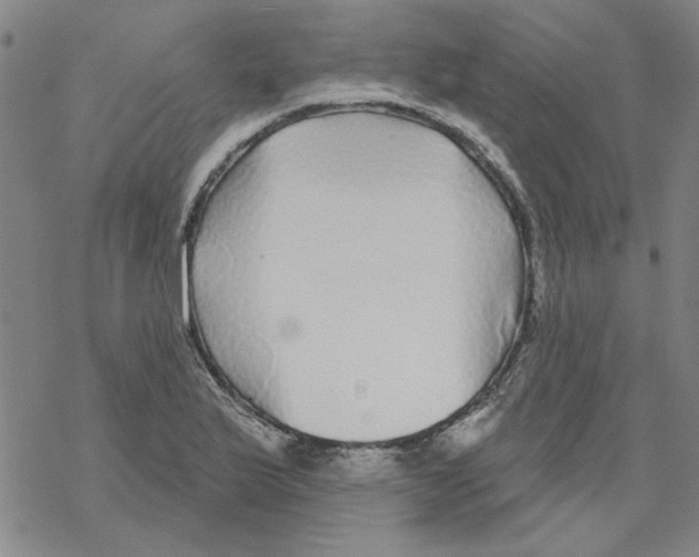 X0000067921175200605112001