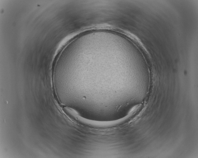 X0000067921176200605112001