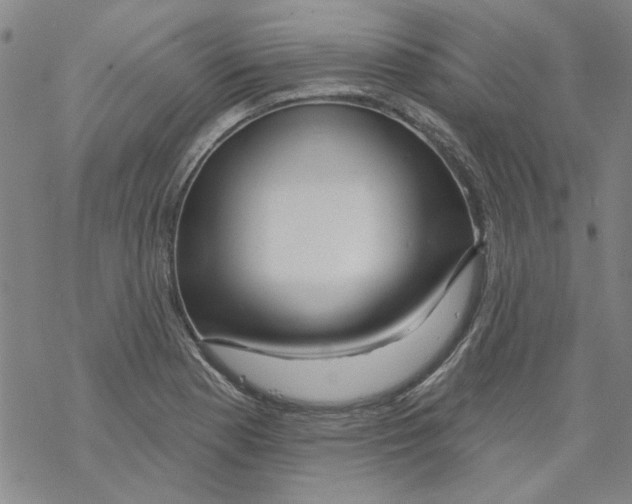 X0000067921177200605112001