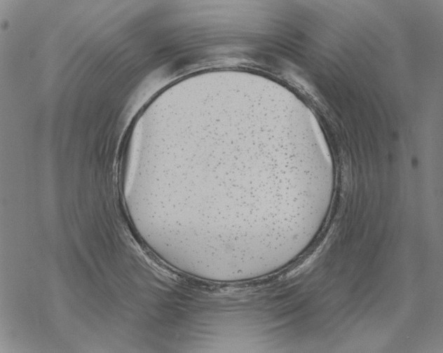 X0000067921178200605112001