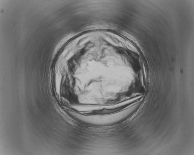 X0000067921179200605112001