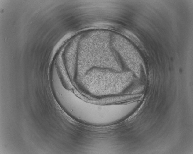 X0000067921180200605112000