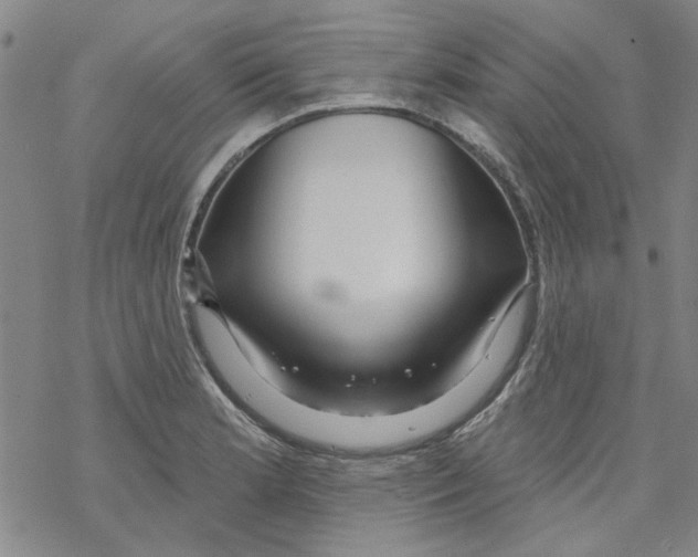 X0000067921181200605112000