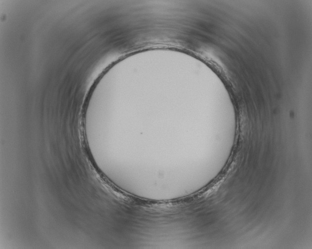 X0000067921182200605112000