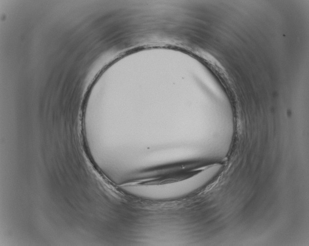 X0000067921183200605112000