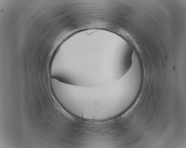 X0000067921184200605112000