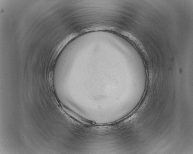 X0000067921185200605112000